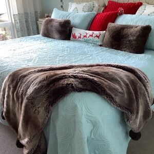 Restoration Hardware throw blanket and 2 pillows with feather inserts